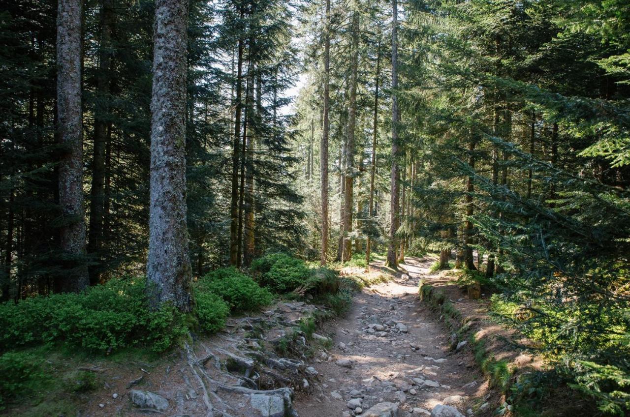르톨리 Le Refuge Du Cerf 빌라 외부 사진
